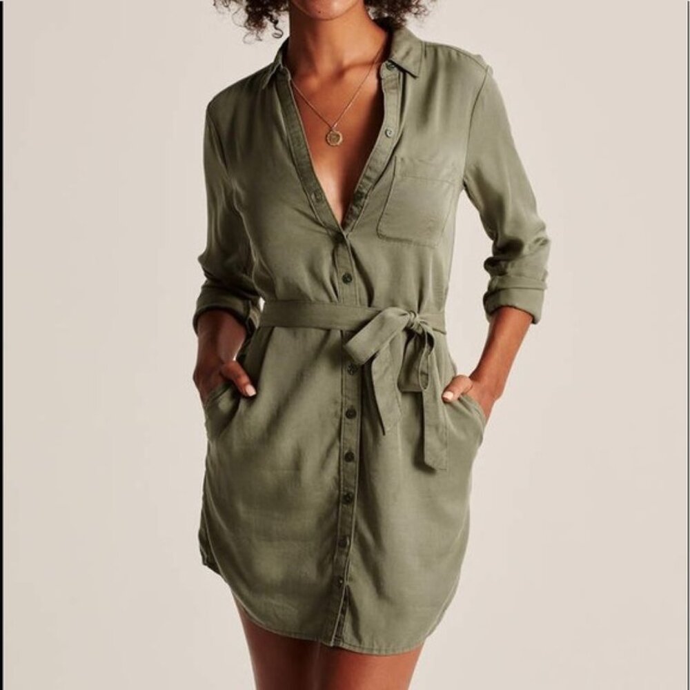 Abercrombie and Fitch Classic Shirt Dress